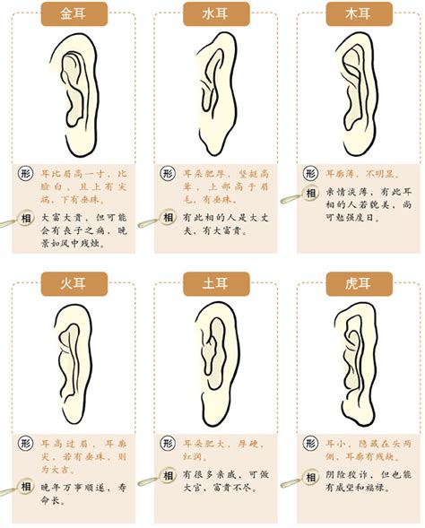 耳朵有洞面相|十六种耳朵面相图文分析三六风水网